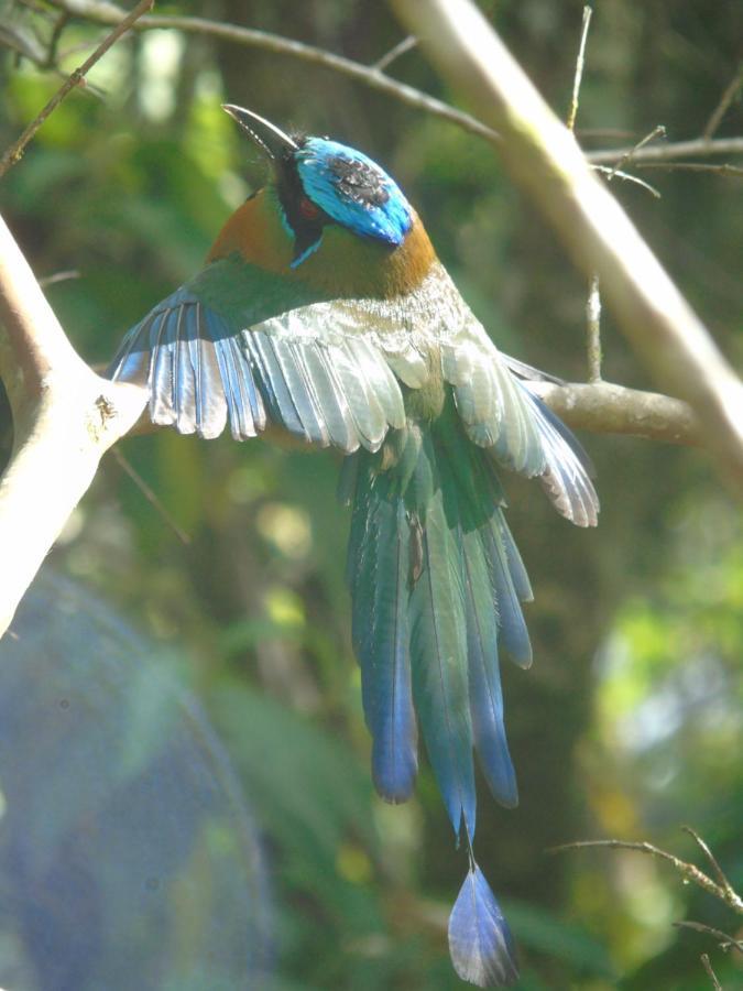 Montana Verde Rivas ภายนอก รูปภาพ