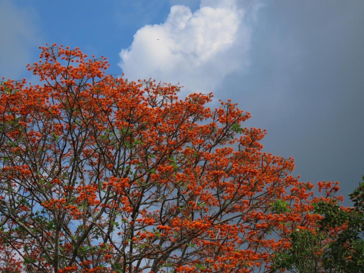 Montana Verde Rivas ภายนอก รูปภาพ