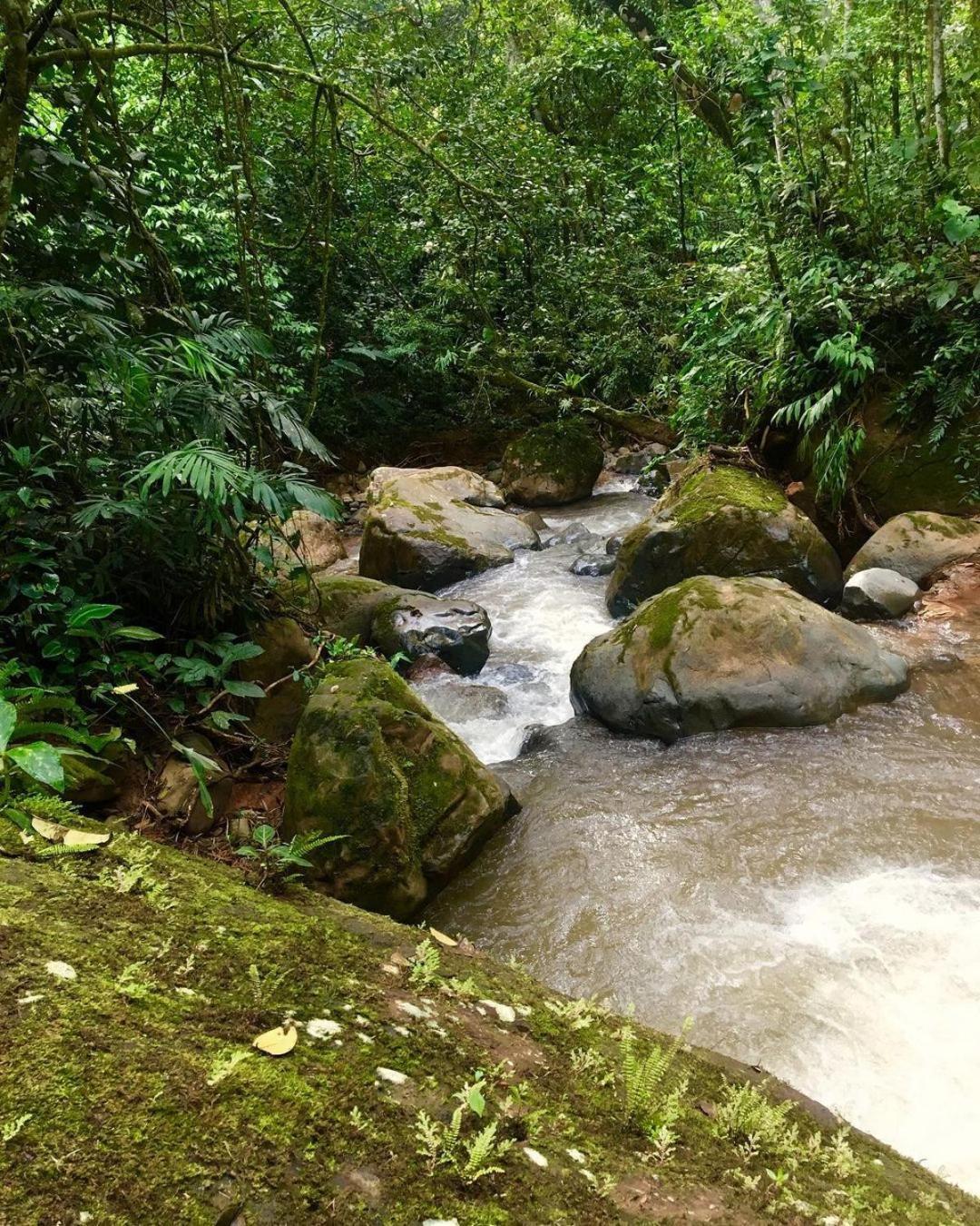 Montana Verde Rivas ภายนอก รูปภาพ